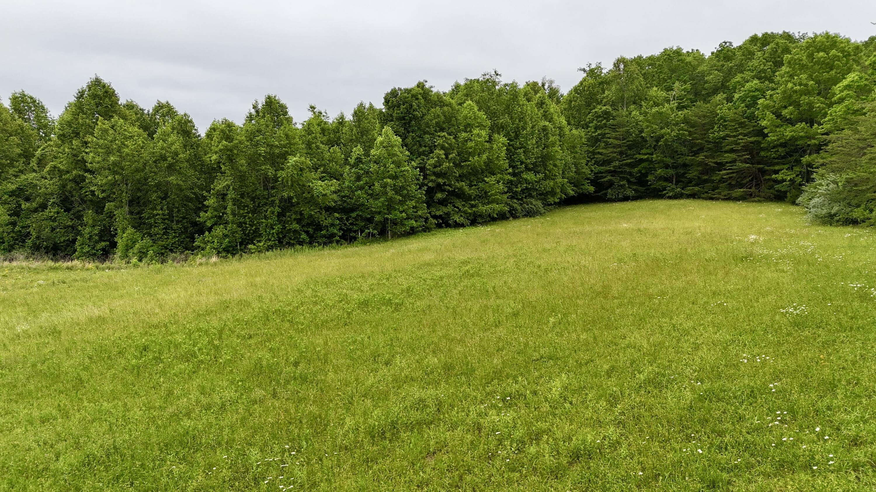 Land Near Daniel Boone Forest