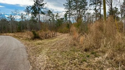 10 Acre Land in Palestine, TX