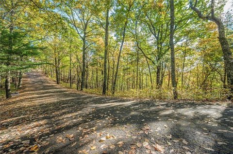 Ellijay Land in Gated Community