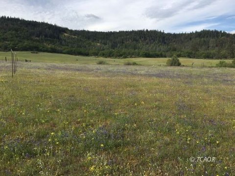 Vacant Land, Hayfork, CA