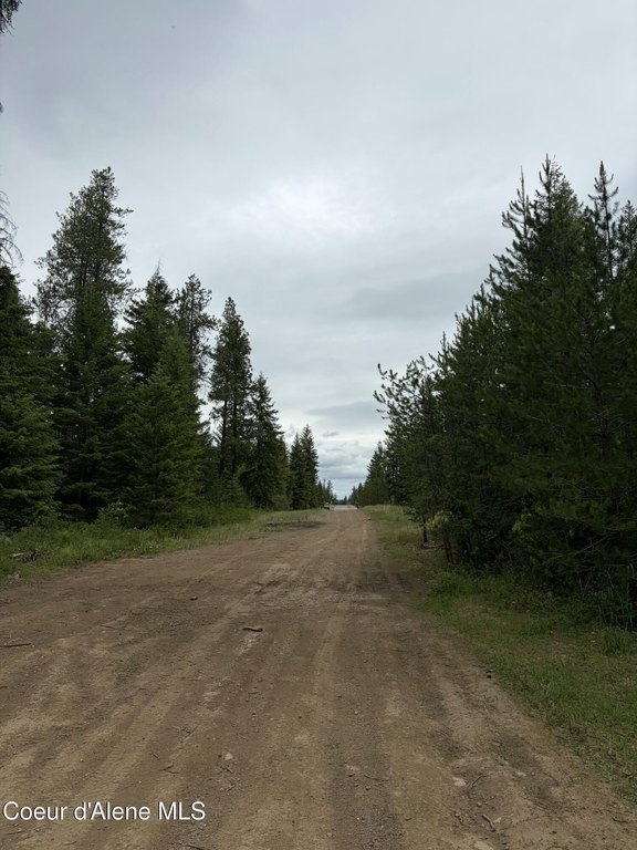 Picture 16