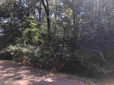 Ridgeland Land For Sale