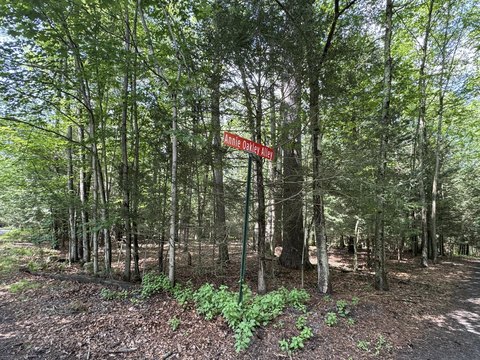 Woodland Lot in Lake Community