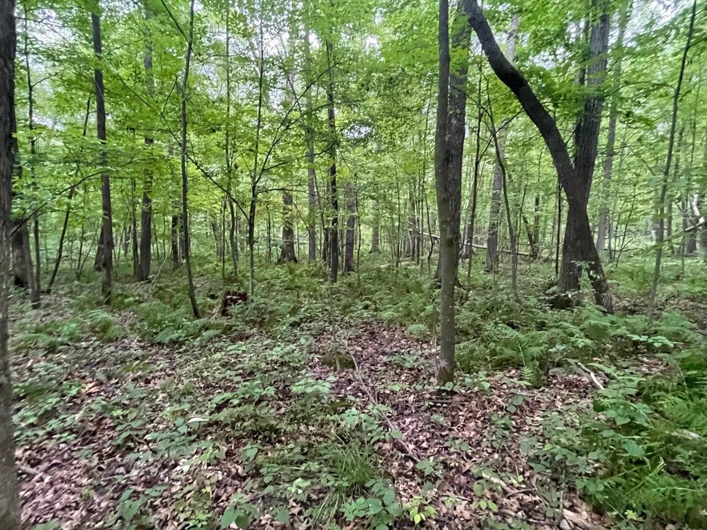 Picture 24