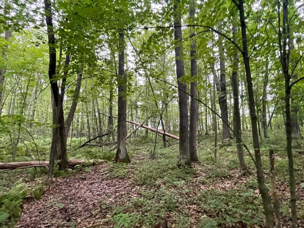 Picture 25