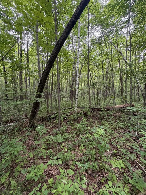 Picture 20