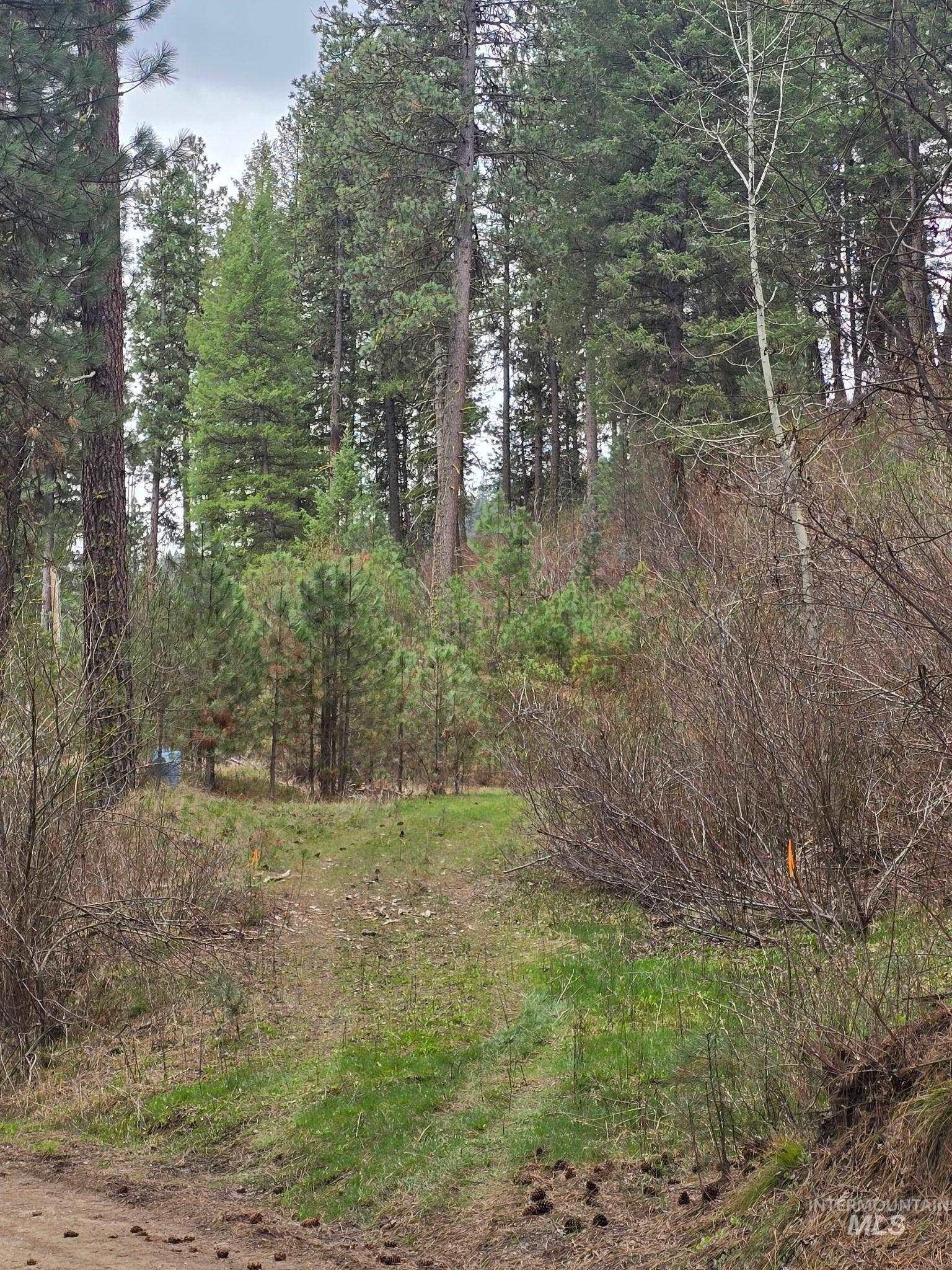 Boise Land with Highway Access