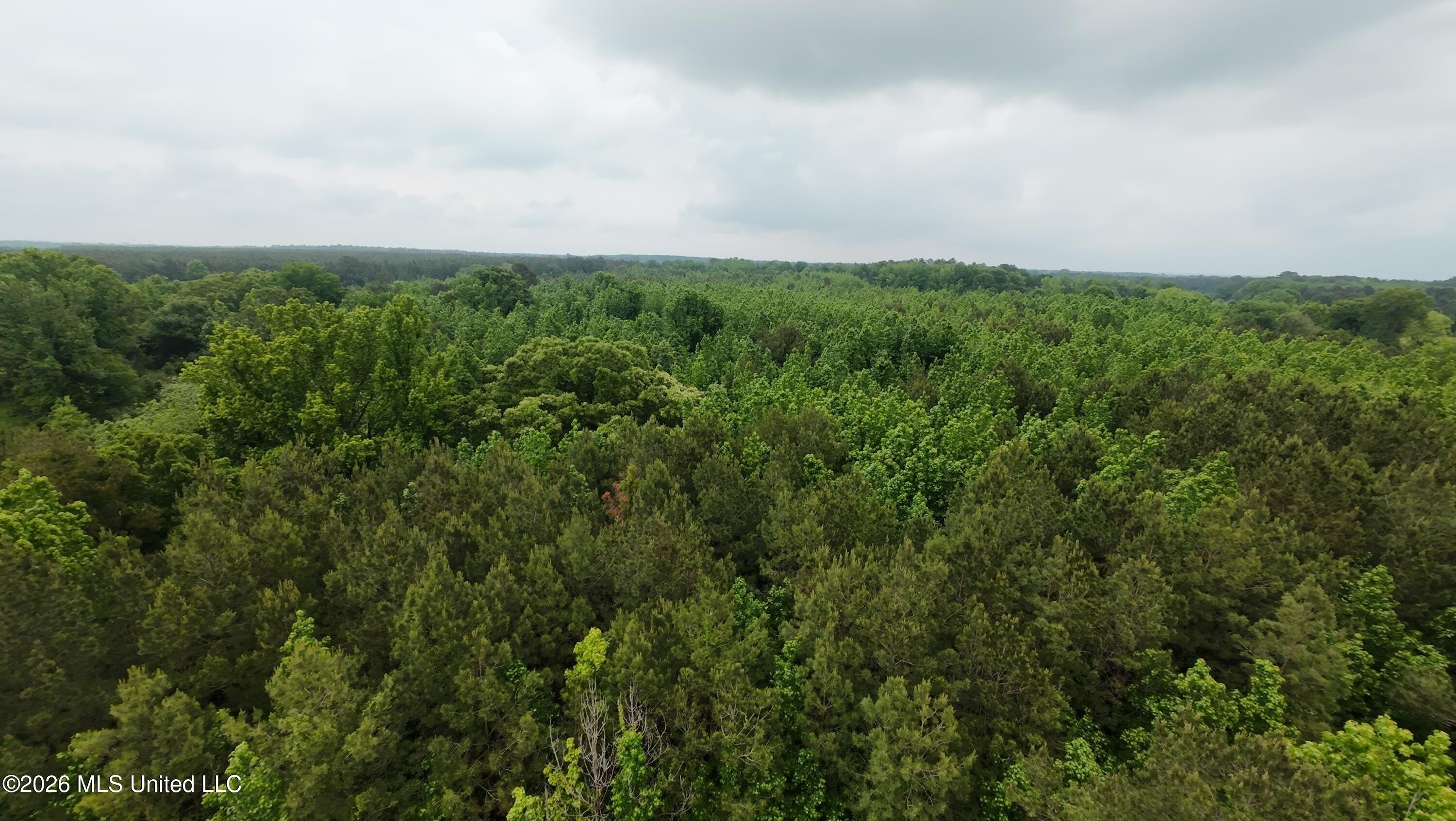 12.9 Acres of Prime Land