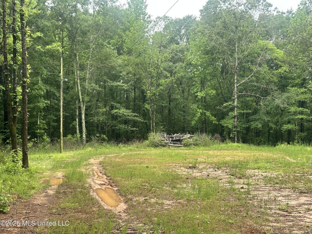 Picture 19