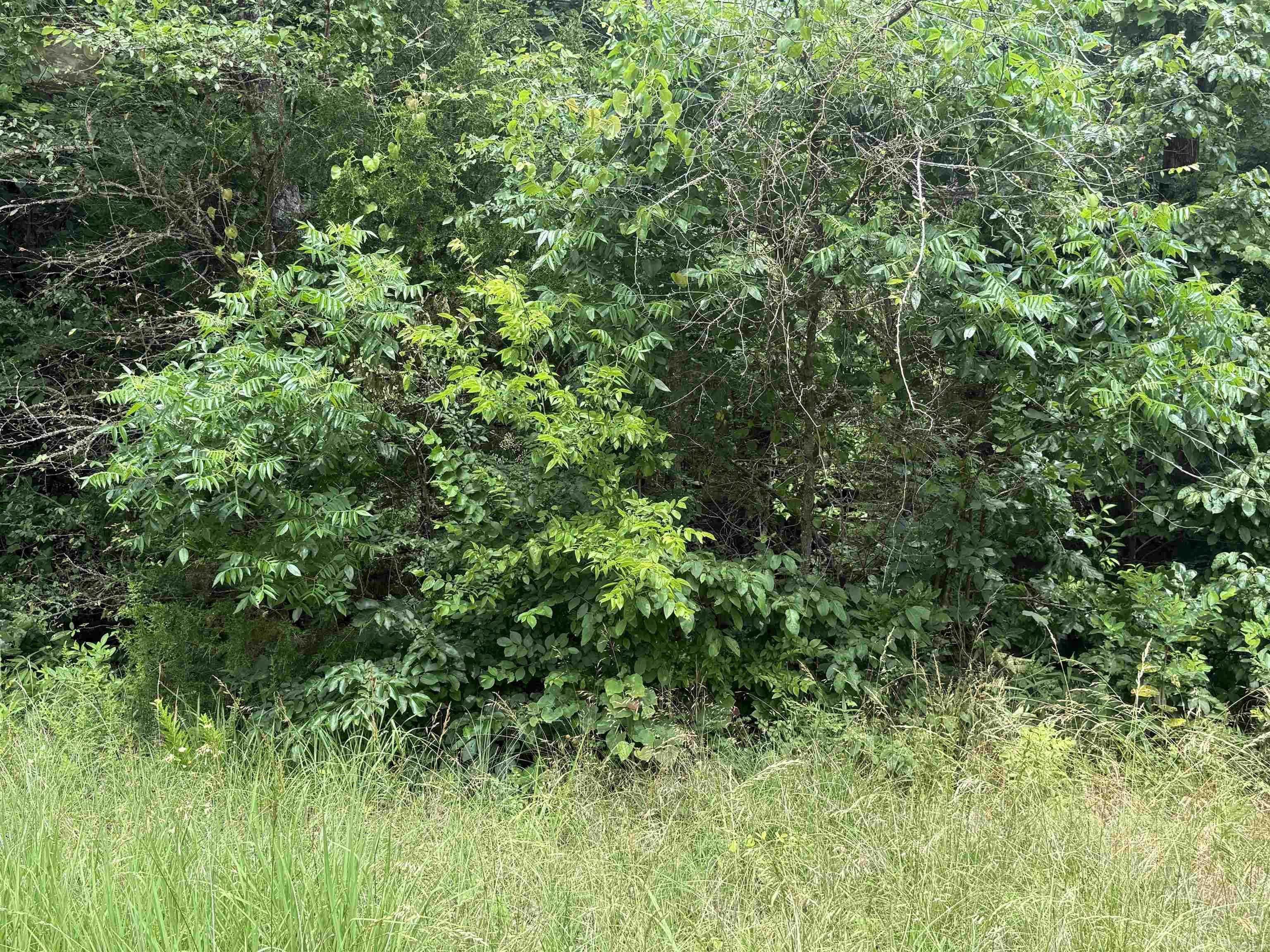Land in Cherokee Village, AR