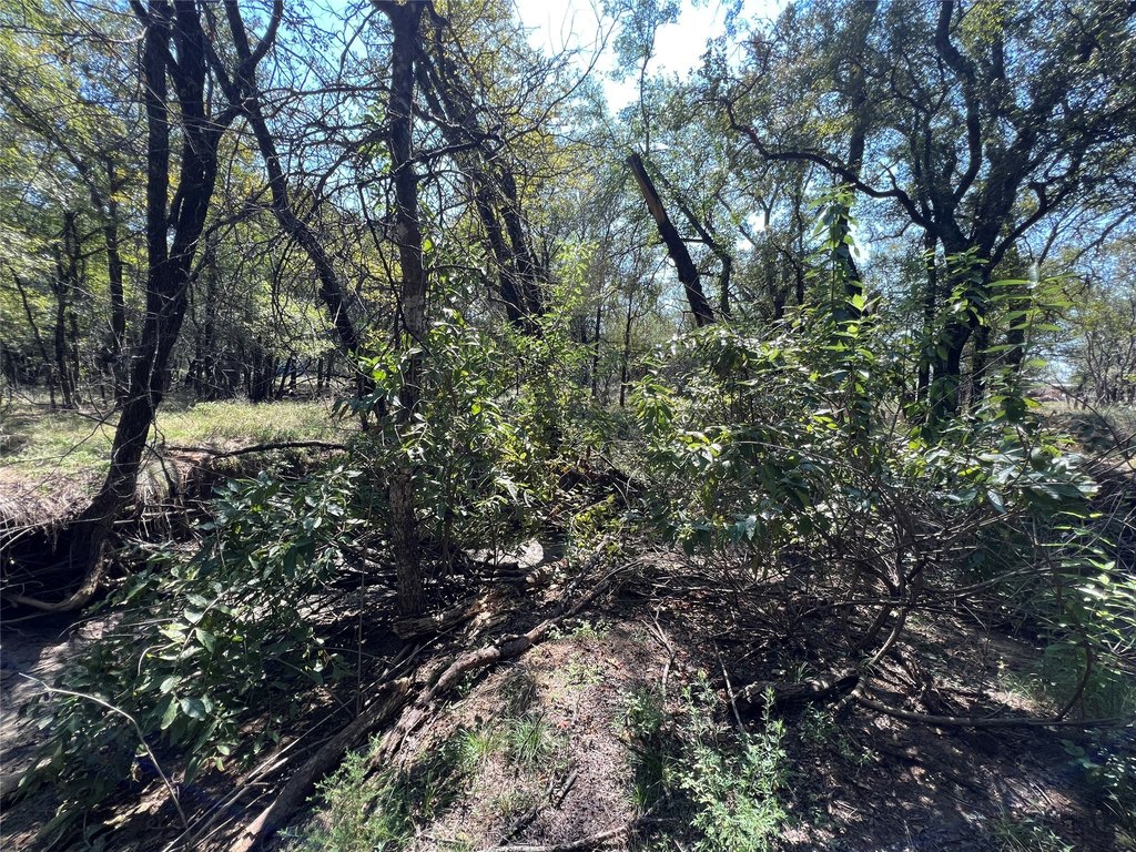 Picture 11