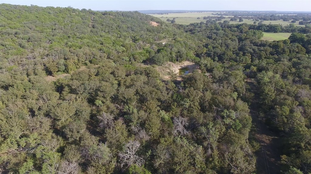 Picture 36