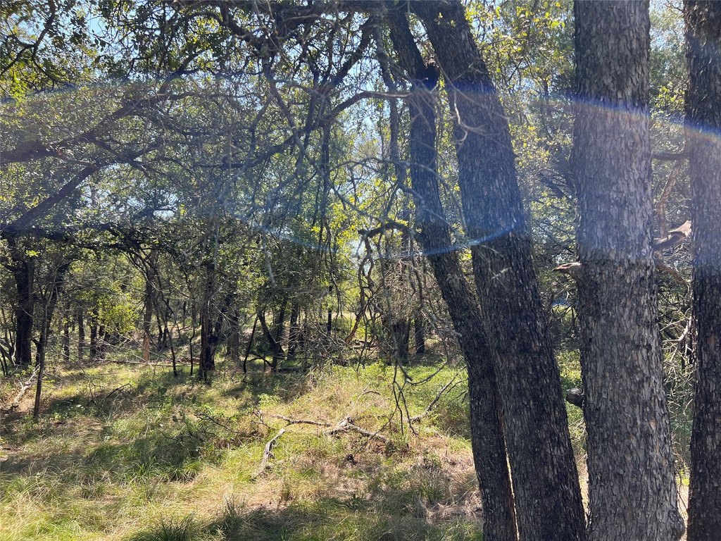 Picture 19