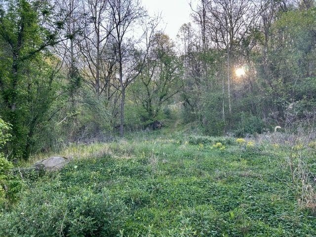 Picture 7