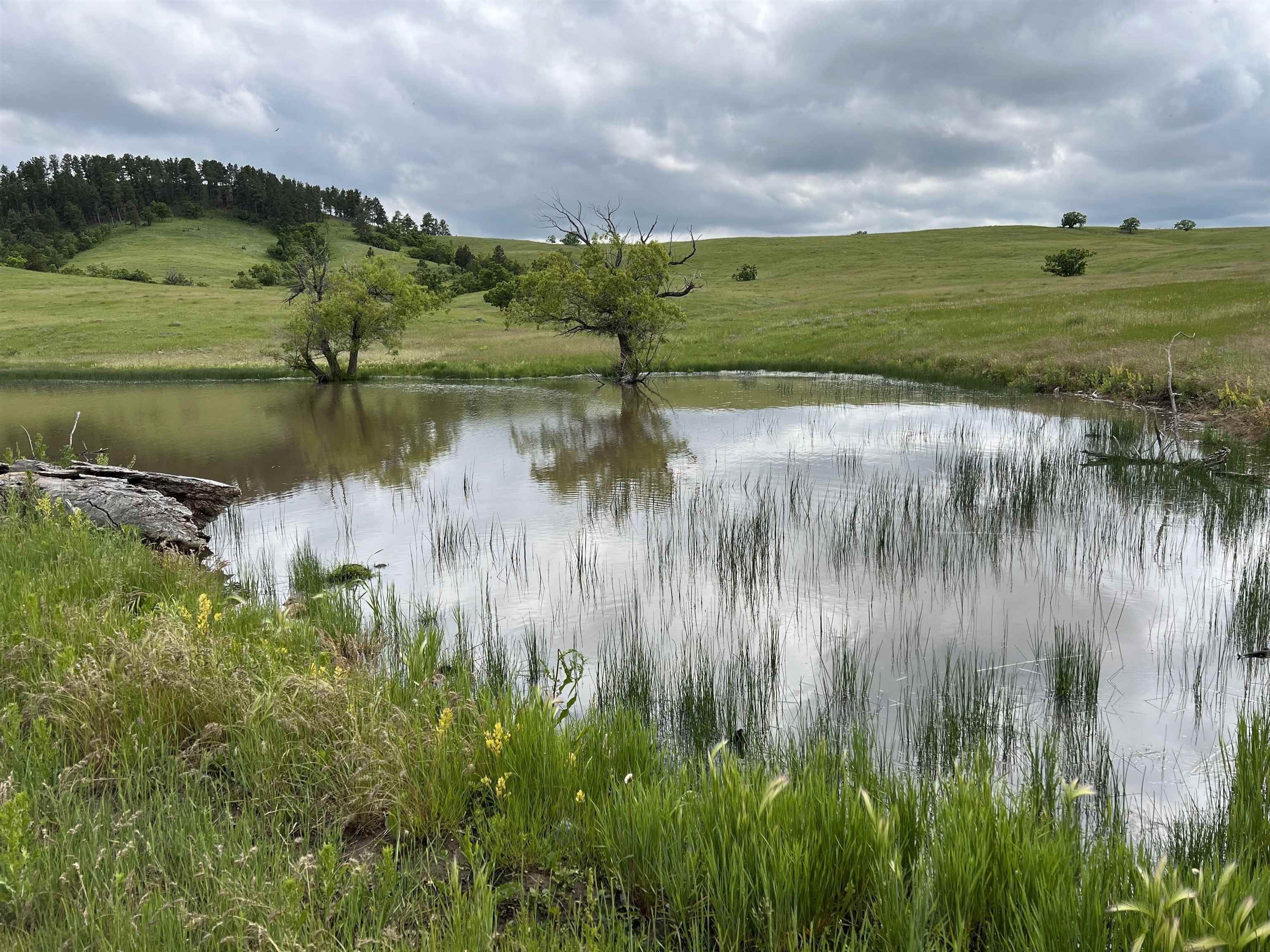 40 Acres of Natural Beauty
