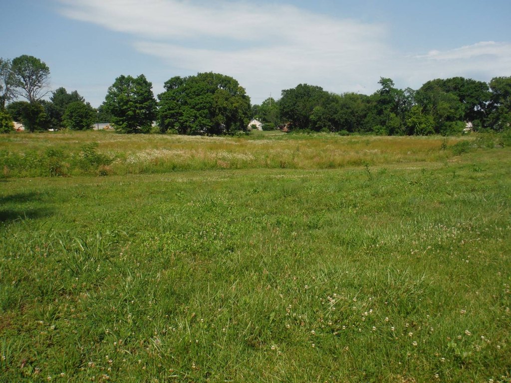 Picture 27