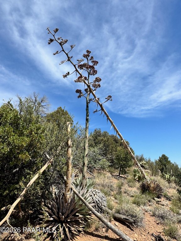 Picture 12
