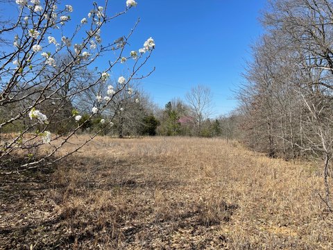 Atoka Vacant Land For Sale