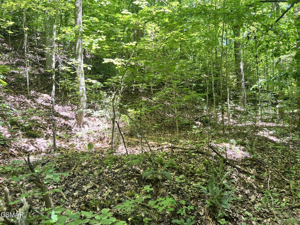 Picture 13