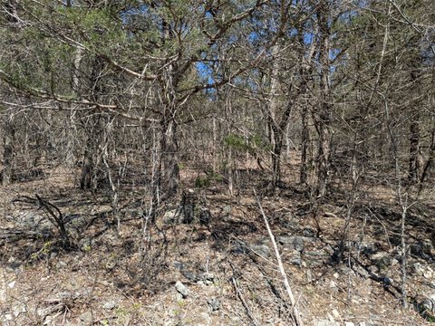 Holiday Island Land For Sale