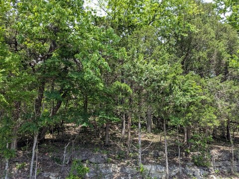 Holiday Island Land For Sale