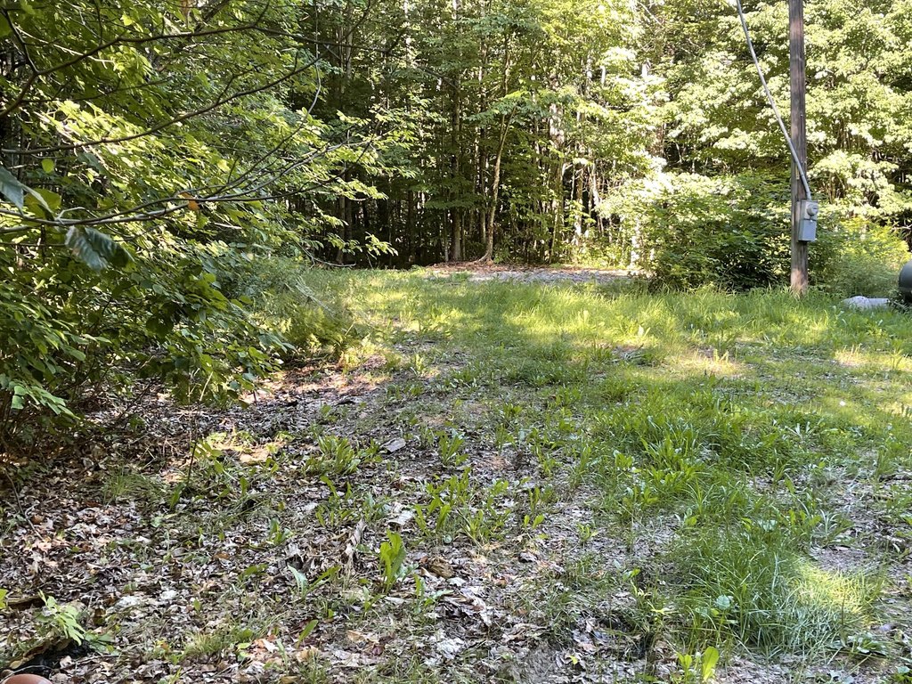 Picture 7