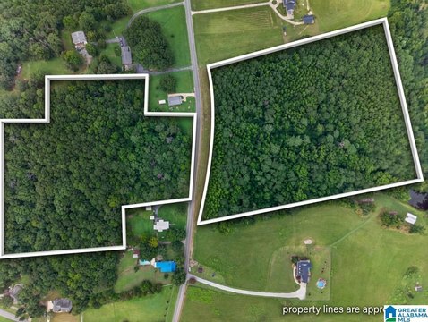LAND/LOTS, JACKSONVILLE, AL