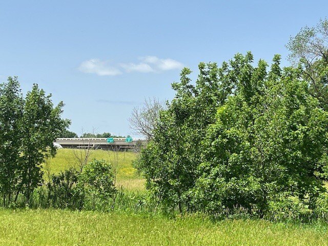 Picture 23