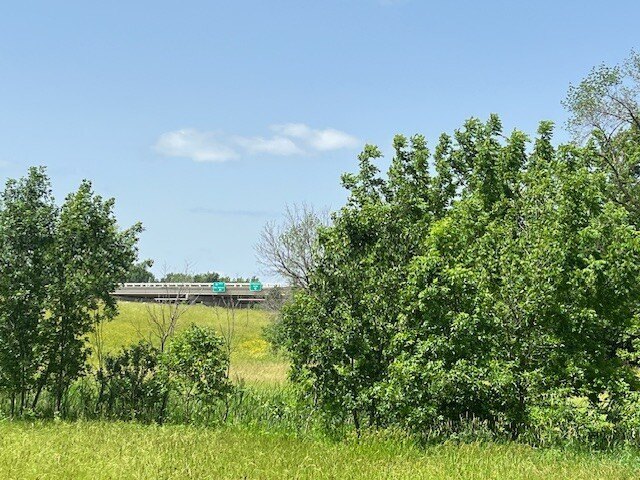 Picture 21