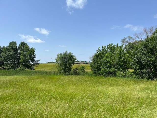 Picture 17