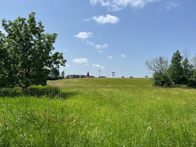 Picture 9