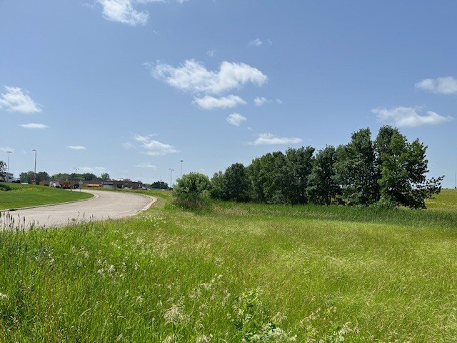 Picture 14