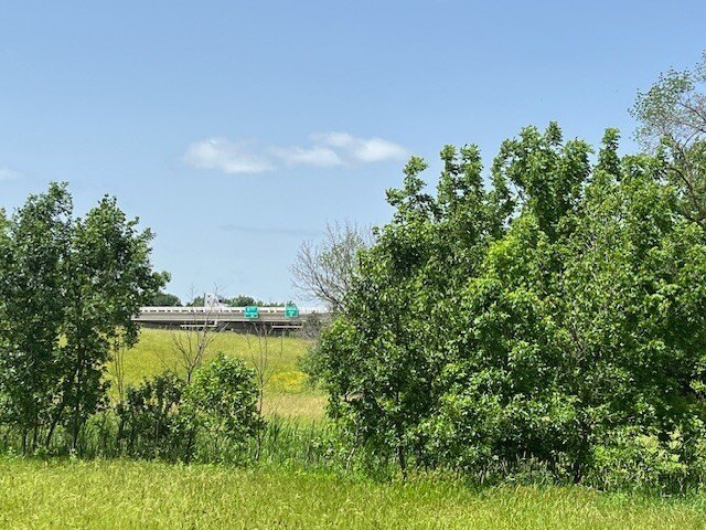 Picture 22