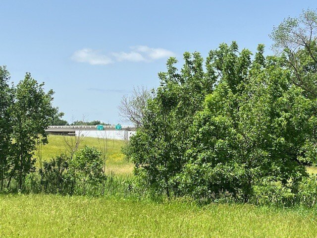 Picture 25