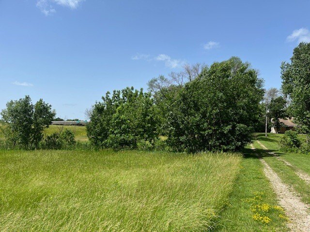 Picture 18