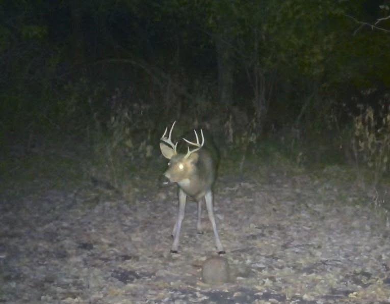Picture 3