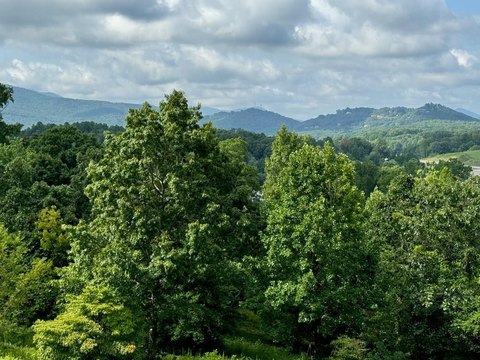 Hayesville Vacant Lot Near Lake