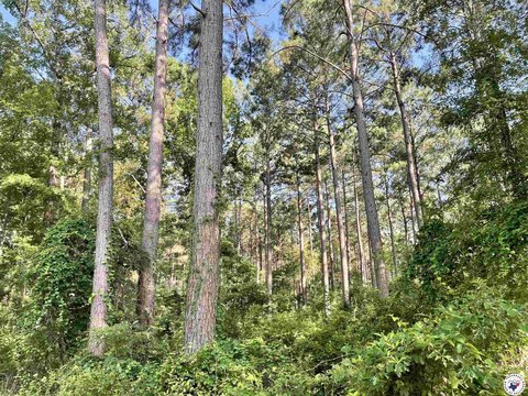 East Texas Land For Sale