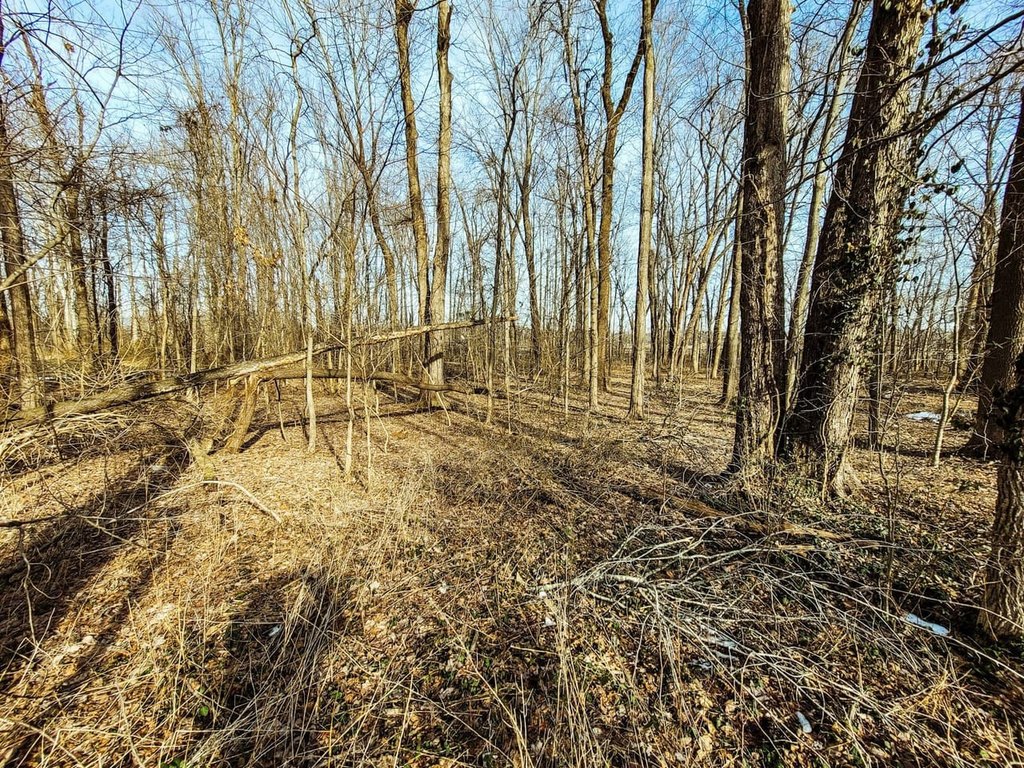 Picture 8