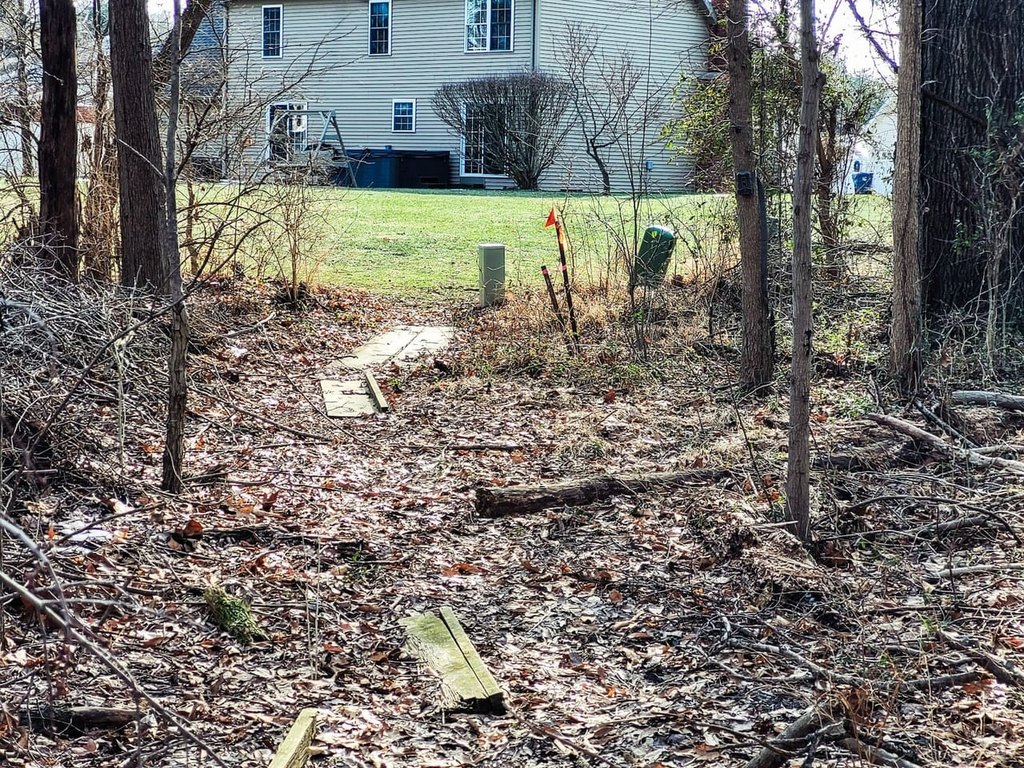 Picture 4