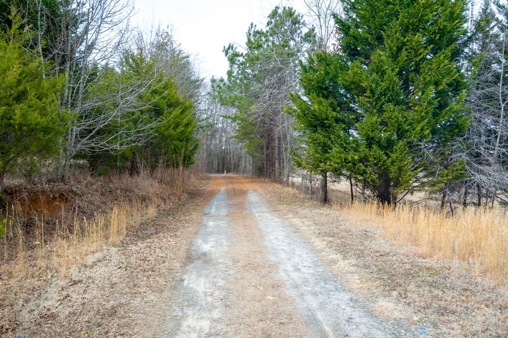 Picture 19
