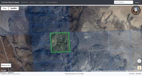 40 Acres in Concho, AZ