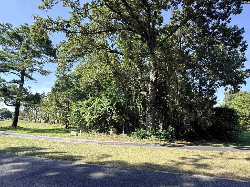 Picture 4