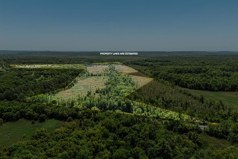 Waterfowl Hunting Land