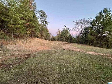 LAND - MCCALLA, AL