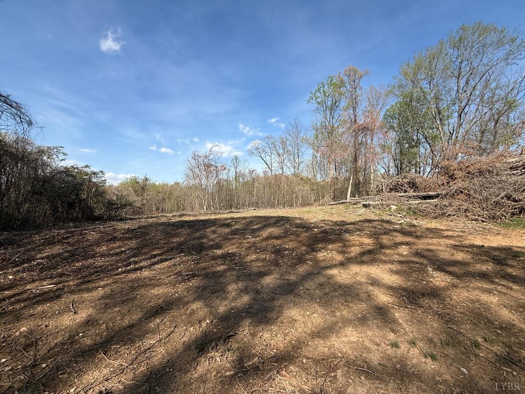 Picture 10