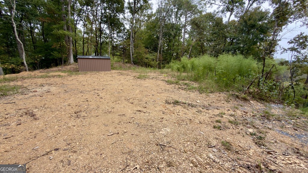 Picture 7