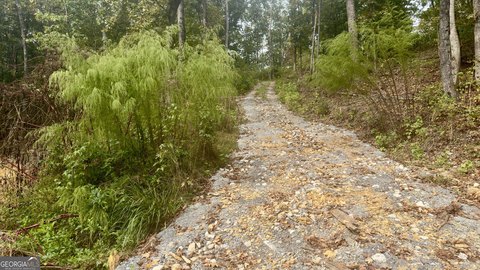 Land, Plainville, GA
