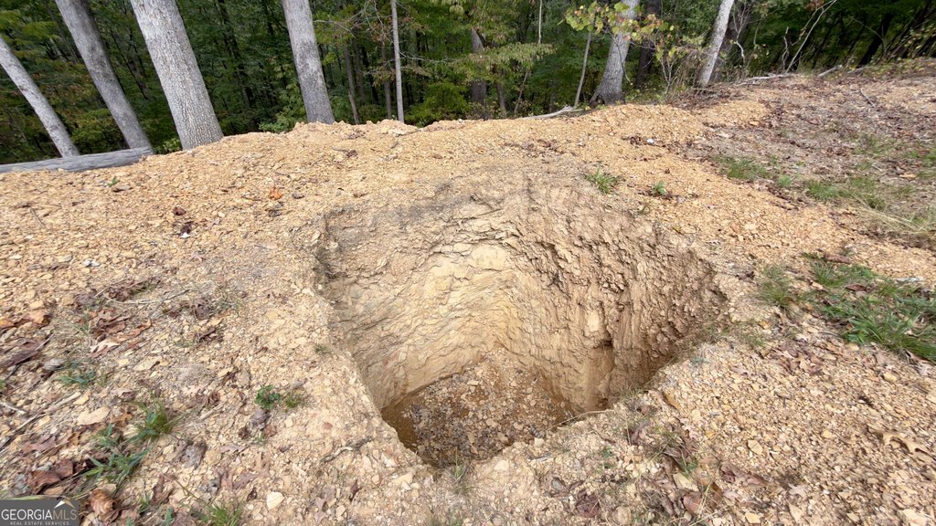 Picture 4