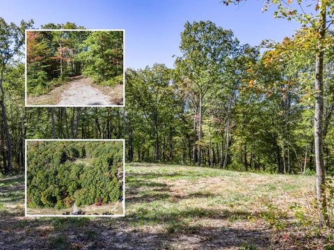 Monterey, TN 3.6-Acre Lot
